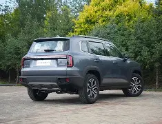 IM电子竞技-猛龙今年战绩