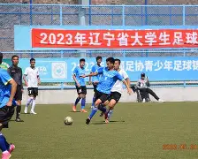 辽宁队再获胜利,强势冲刺季后赛是哪一年