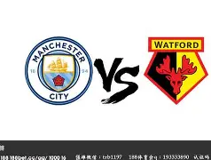 IM电子竞技-沃特福德近况